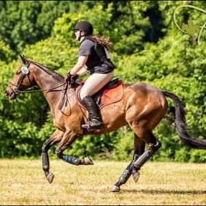 Meet your Posher, Robyn